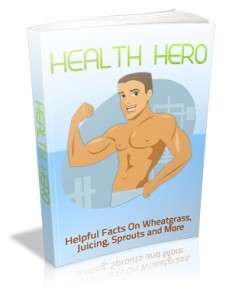 Health Hero - Ebook