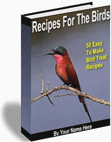 Recipes for the Birds - Ebook