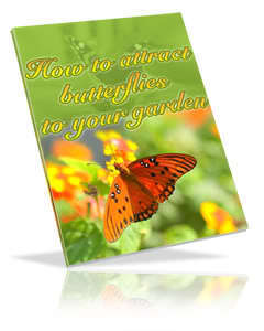 How to Attract Butterflies to Your Garden - Ebook