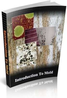 Introduction to Mold - Ebook