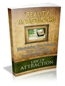 Reality Roadblocks - Ebook