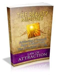 The Reality Mindset - Ebook