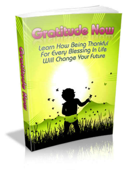 Gratitude Now - Ebook