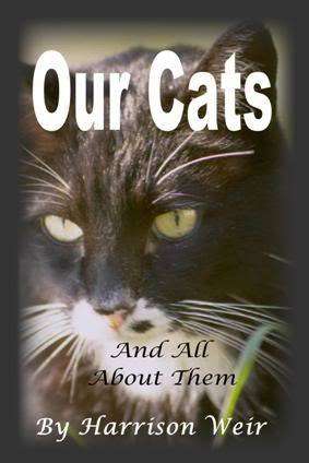 Our Cats and All About Them - Ebook