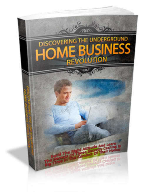 Discovering the Underground Home Business Revolution - Ebook