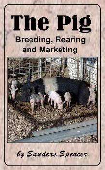 The Pig - Ebook