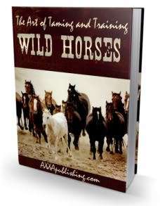 The Art of Taming and Training Wild Horses - Ebook