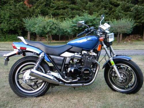 Yamaha FJ FZ XJ YX600 Radian service manual (E-book)