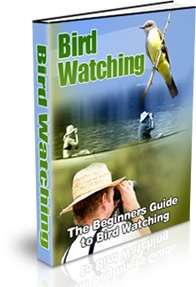 The Beginner's Guide to Birdwatching - Ebook