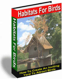 Habitats for Birds - Ebook