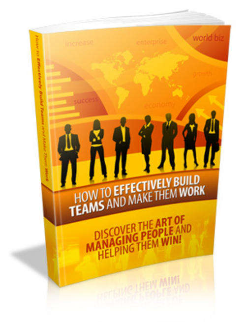 How to Effectively Build Teams and Make Them Work - Ebook