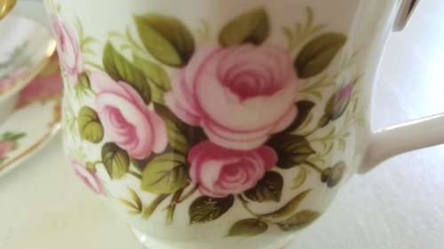 ROYAL ALBERT flowers of the month JUNE ROSES