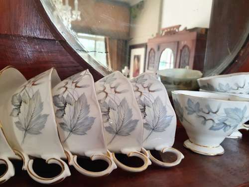 Royal Albert Silver Maple you are bidding on a single cup only    (11 available)