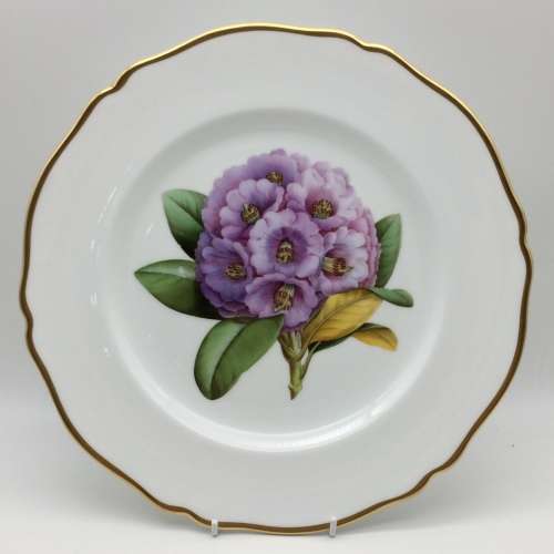 Scarce Spode `Rhododendron` Flower Plate
