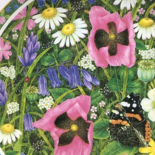 Pretty `Coalport` Wall Plate (Somerset Meadow)