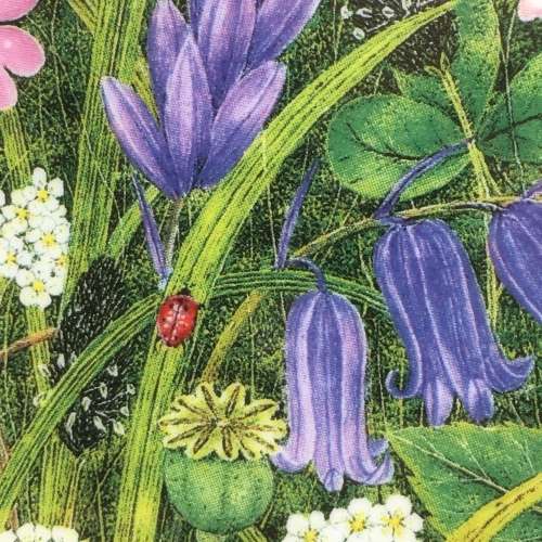 Pretty `Coalport` Wall Plate (Somerset Meadow)