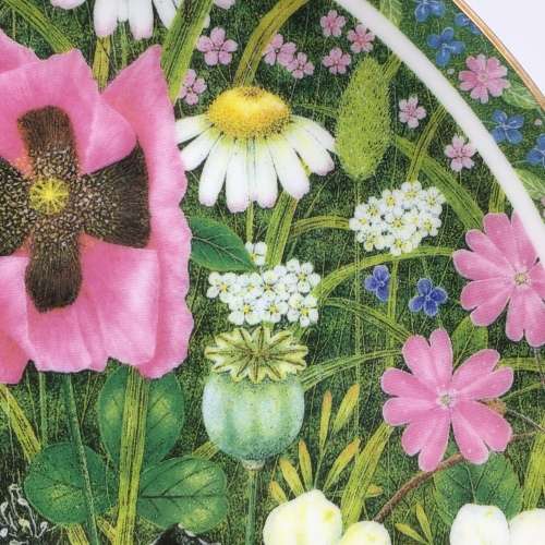 Pretty `Coalport` Wall Plate (Somerset Meadow)