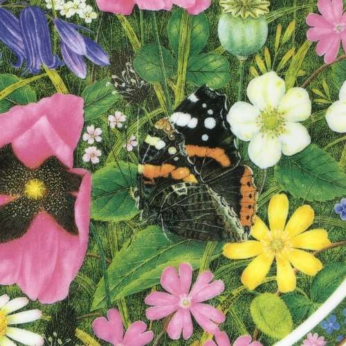 Pretty `Coalport` Wall Plate (Somerset Meadow)