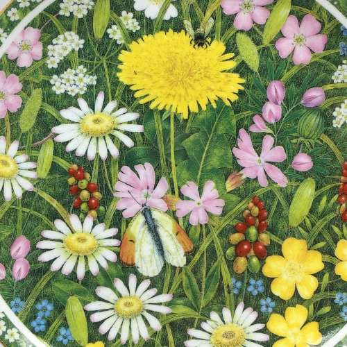 Pretty `Coalport` Wall Plate (Somerset Meadow)
