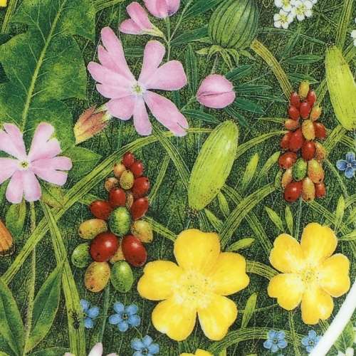 Pretty `Coalport` Wall Plate (Somerset Meadow)