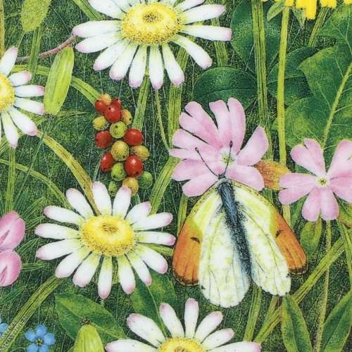 Pretty `Coalport` Wall Plate (Somerset Meadow)