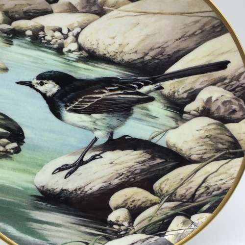 `Wedgwood` Bone China `Pied Wagtail` Bird Plate