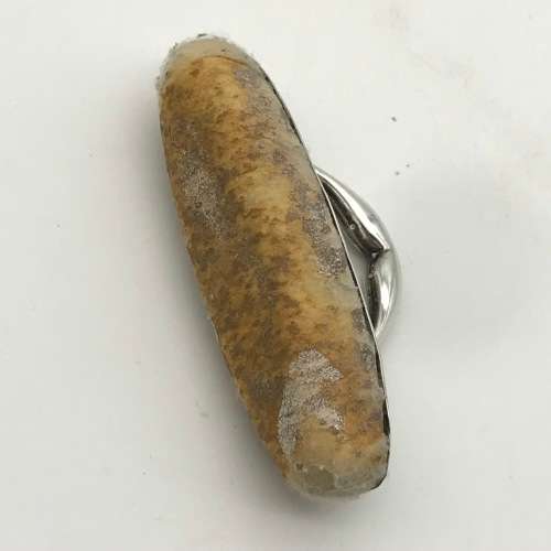Antique Silver`Reynolds Angels`  Nail Buffer (1903)