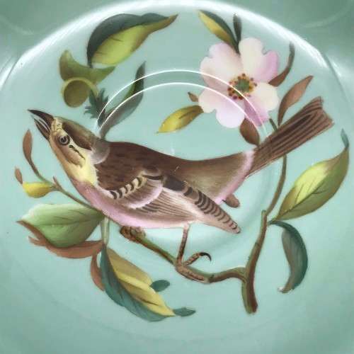 Vintage Copeland Spode `Birds` Teacup and Saucer (Y6682)