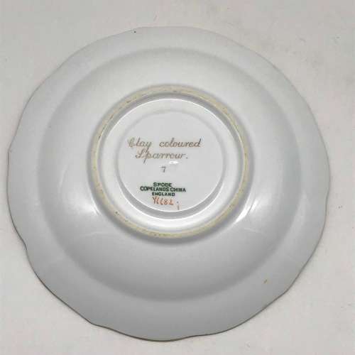 Vintage Copeland Spode `Birds` Teacup and Saucer (Y6682)