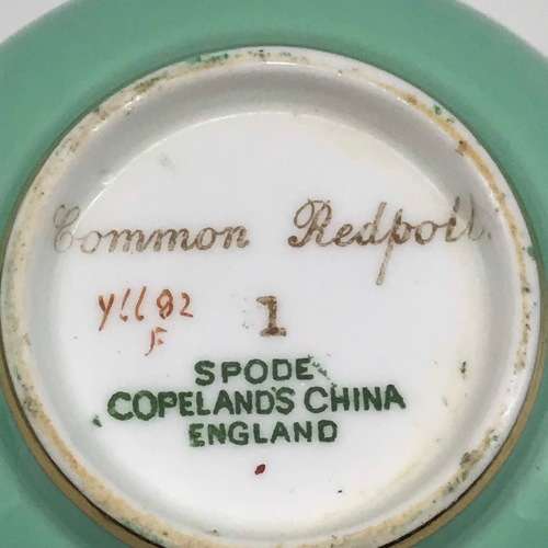 Vintage Copeland Spode `Birds` Teacup and Saucer (Y6682)
