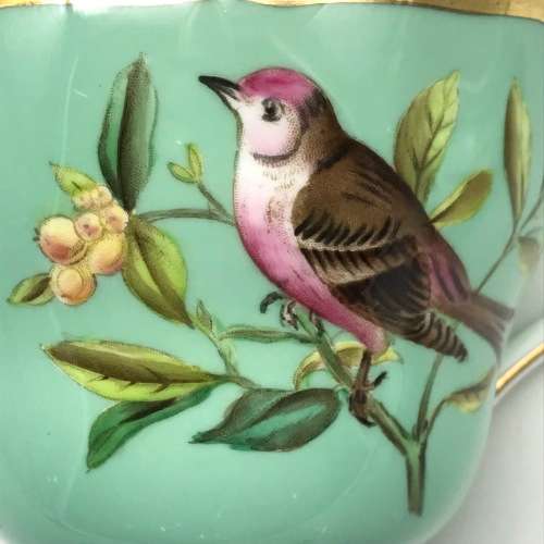 Vintage Copeland Spode `Birds` Teacup and Saucer (Y6682)