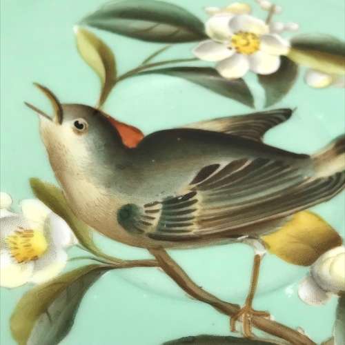 Lovely Copeland Spode `Bird` Saucer (Y6682)