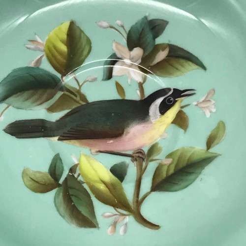 Vintage Copeland Spode `Bird` Saucer (Y6682)