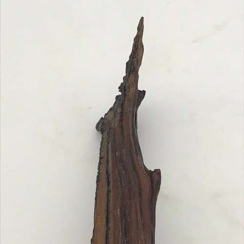 Carved Natural Wood Branch (Signed - Dwain Freeman)