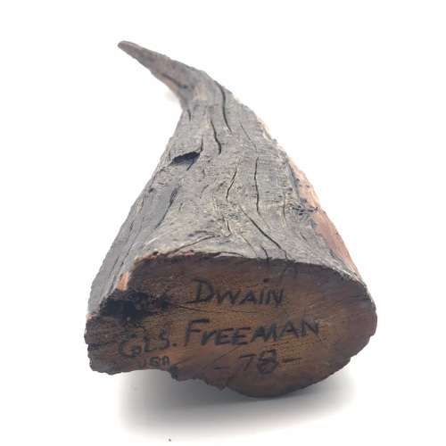 Carved Natural Wood Branch (Signed - Dwain Freeman)