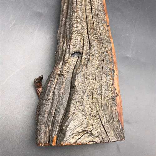 Carved Natural Wood Branch (Signed - Dwain Freeman)