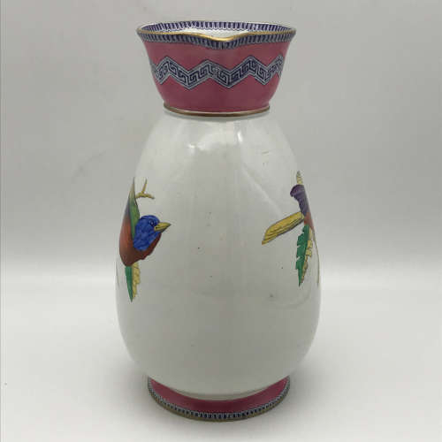 Rare & Early Victorian `Thomas TILL Pottery` Pitcher/Jug