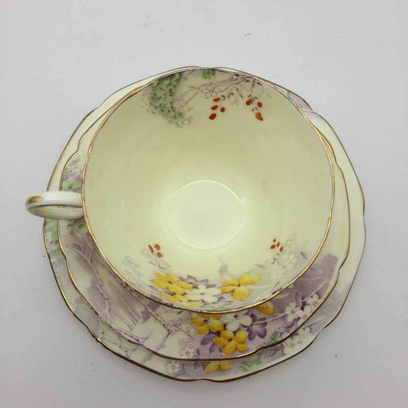 Early Paragon China Trio (Woodland Bluebell)