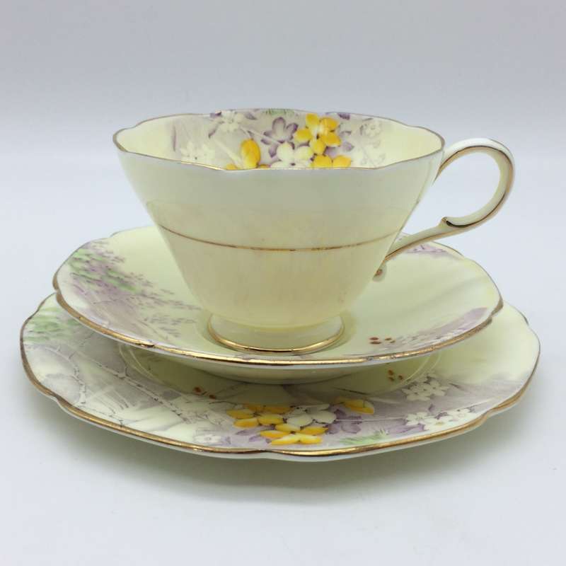 Early Paragon China Trio (Woodland Bluebell)