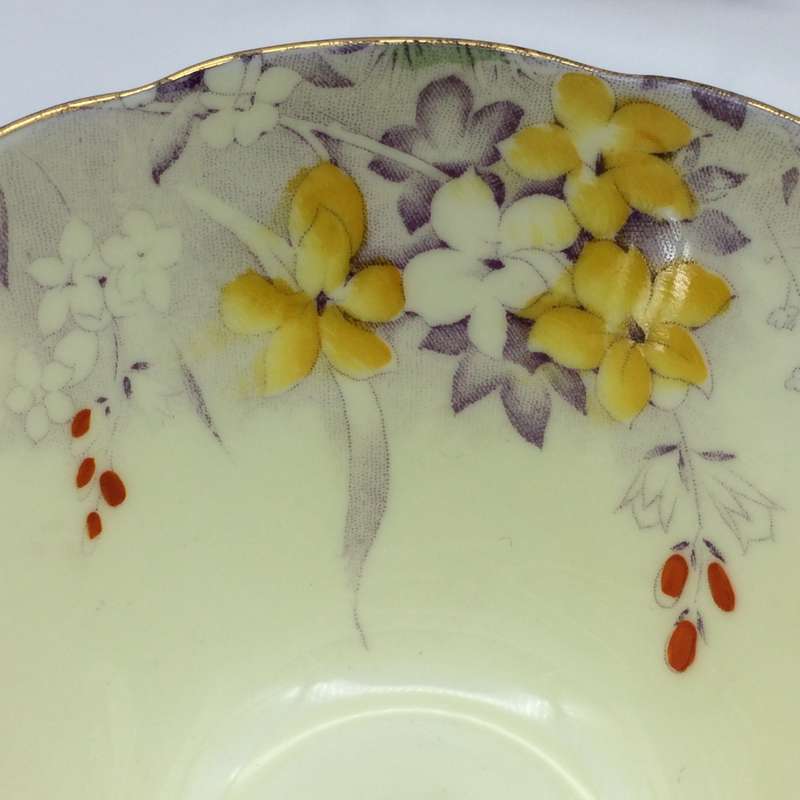 Early Paragon China Trio (Woodland Bluebell)