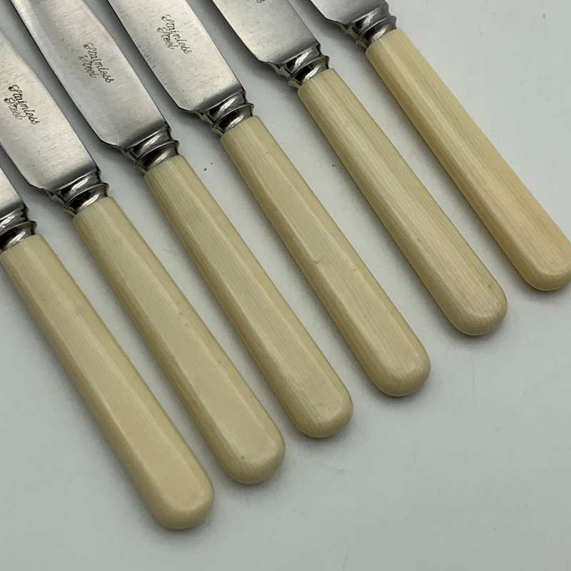 Vintage Set of Bone Handle Butter Knives (6)