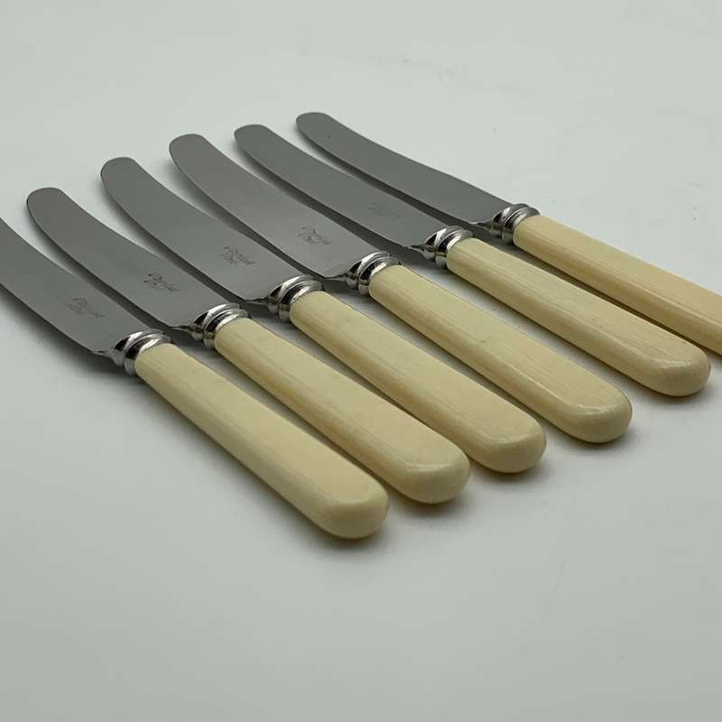 Vintage Set of Bone Handle Butter Knives (6)