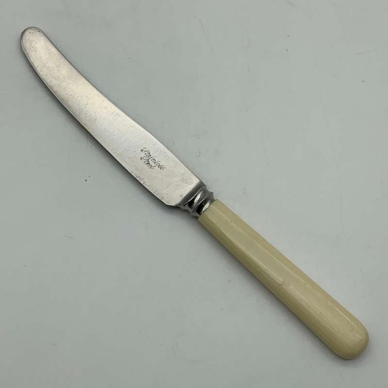 Vintage Set of Bone Handle Butter Knives (6)