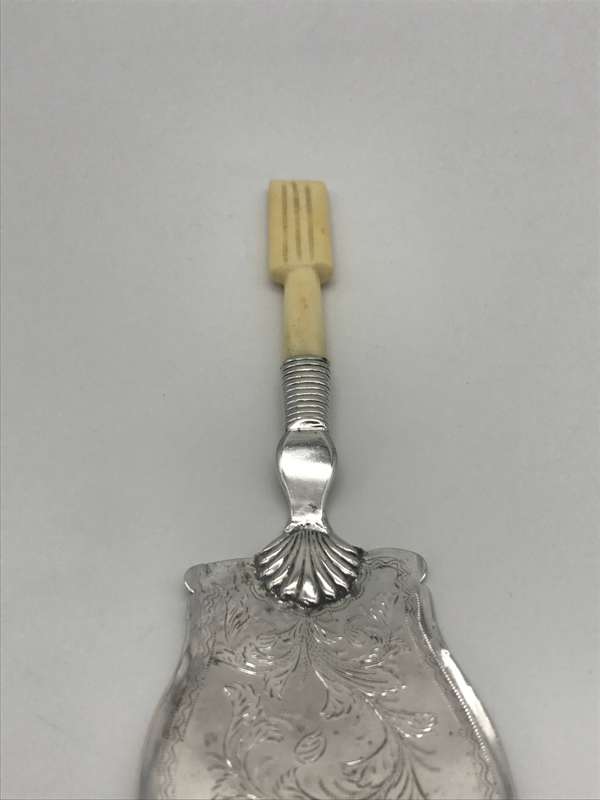 Antique Silver Bone Handled Cake Server (Possibly Cape Silver)