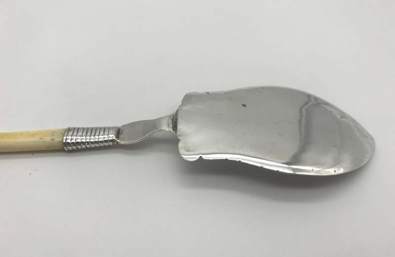 Antique Silver Bone Handled Cake Server (Possibly Cape Silver)
