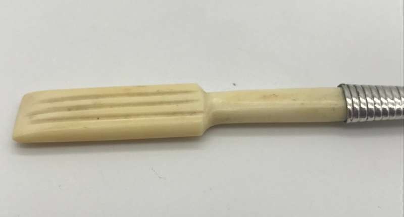Antique Silver Bone Handled Cake Server (Possibly Cape Silver)