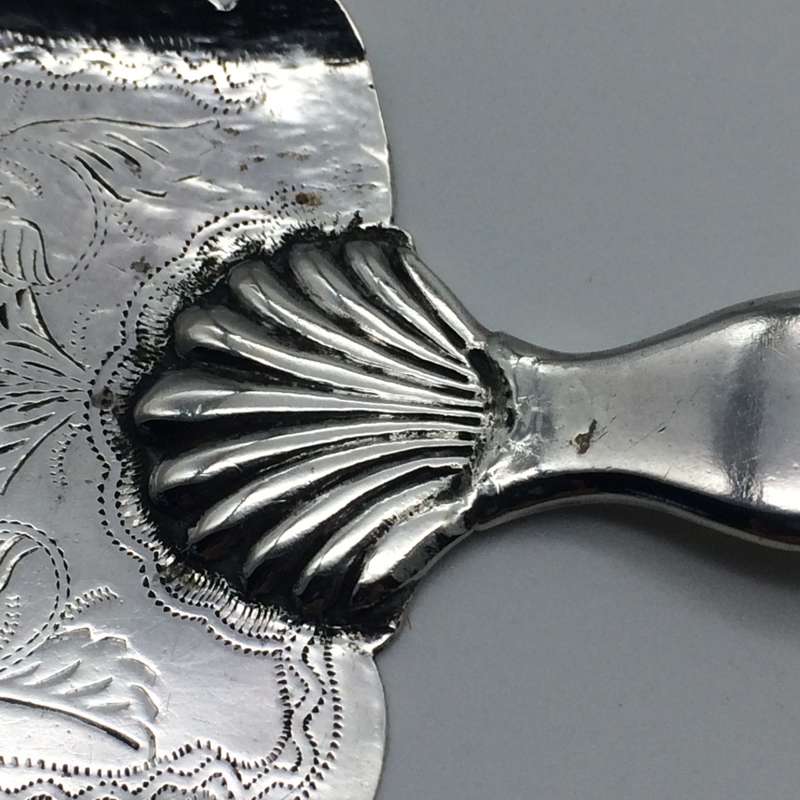Antique Silver Bone Handled Cake Server (Possibly Cape Silver)