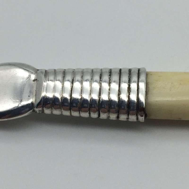Antique Silver Bone Handled Cake Server (Possibly Cape Silver)