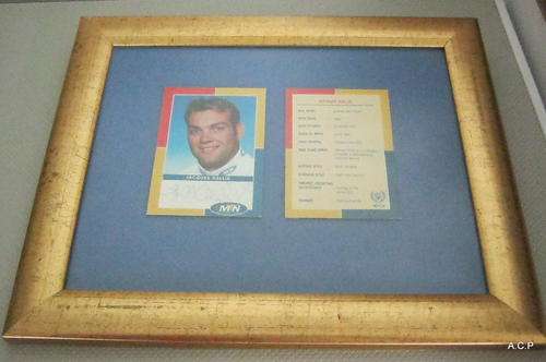 JACQUE KALLIS PICTURE FRAME(SIGNED) +-25CM BY 30CM