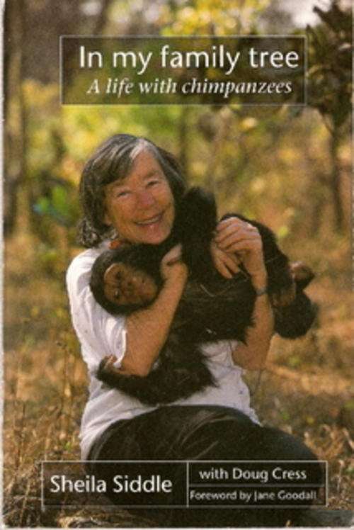 IN MY FAMILY TREE A LIFE WITH CHIMPANZEES by SHEILA SIDDLE(SOFT COVER)
